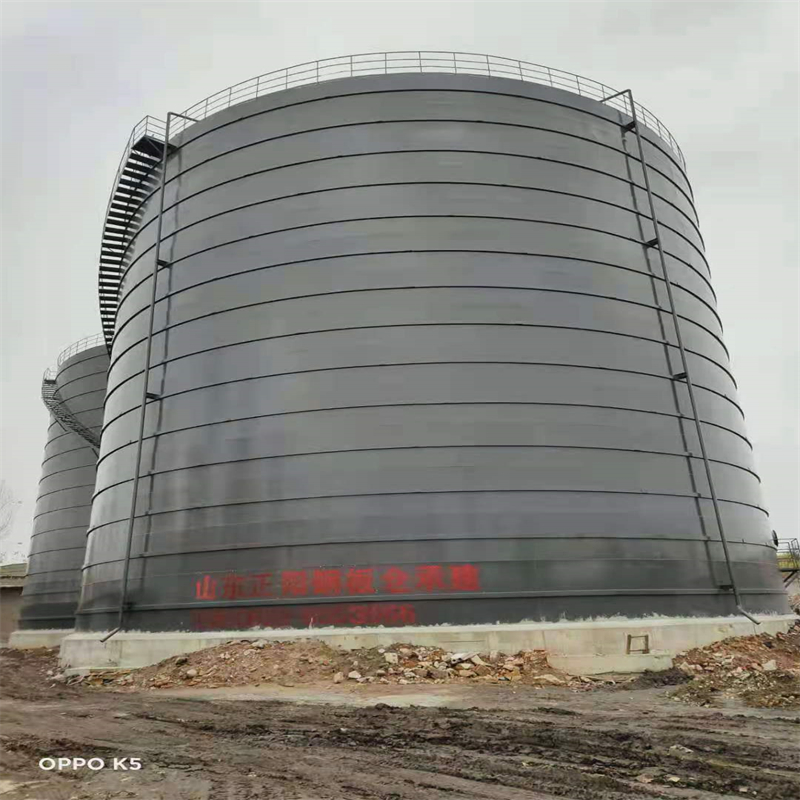 丛台3万吨大型钢板库