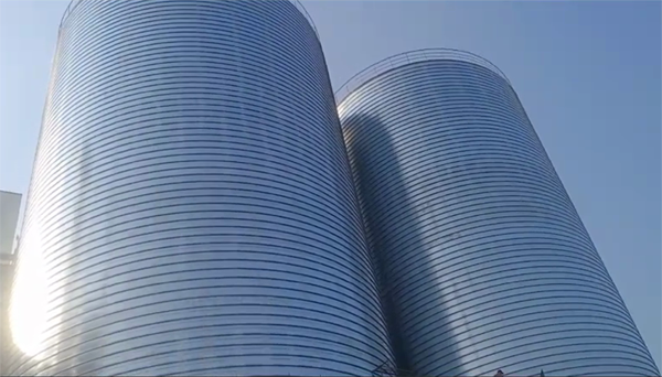 丛台2座混凝土高架卷板仓